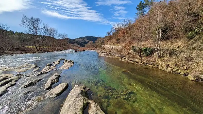 Chamandre
