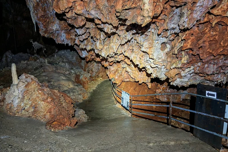 Grotte Forestière