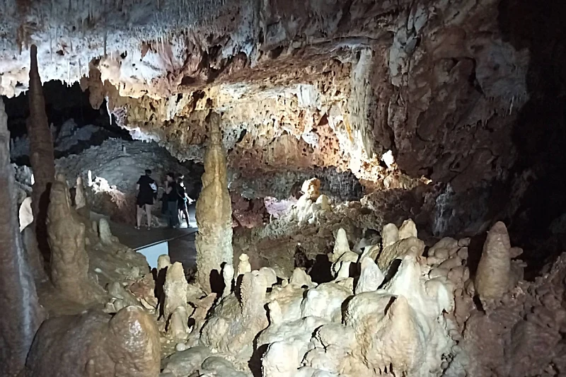 Grotte Forestière
