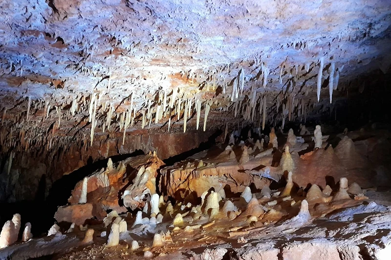 Grotte Forestière