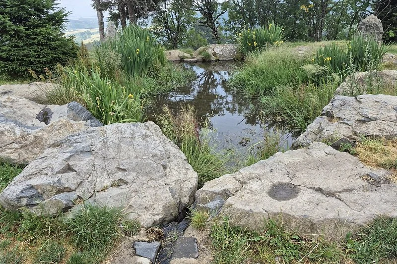 Source de la Loire