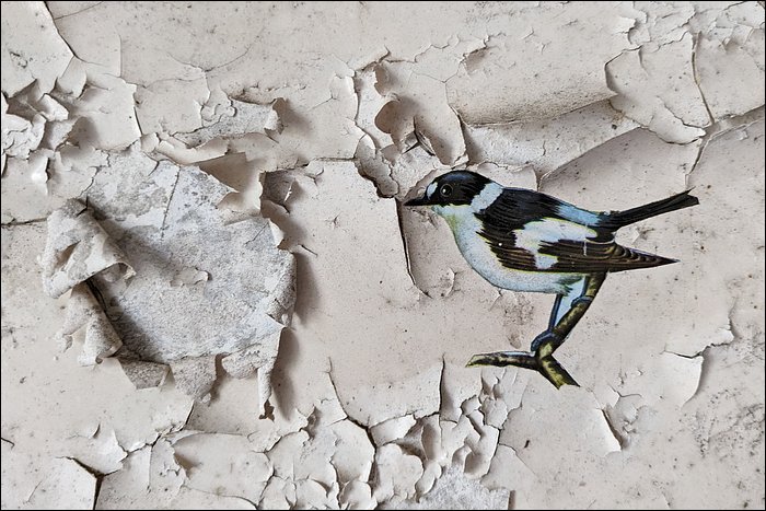 Vestige de papier peint