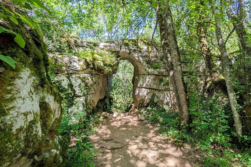 Le Bois de Païolive Ardèche