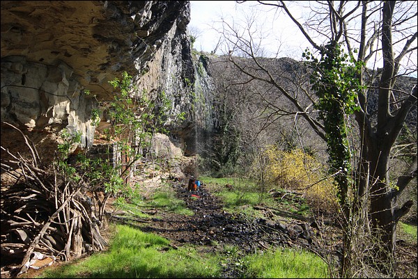 Le jardin